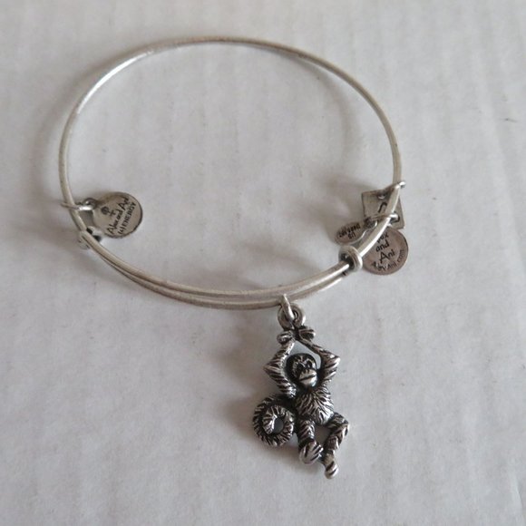 Alex and Ani Jewelry - Alex and Ani Monkey Charm Bangle/Bracelet,  Rafaelian Silver, EUC